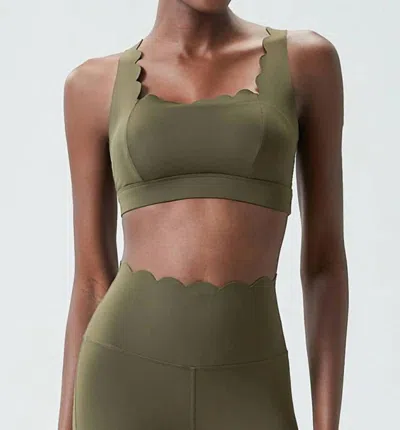 Sodalemon Scallop Sport Bra In Forest Green