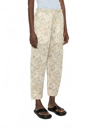 Soeur Ambereas Pants In Beige Gris In Neutral
