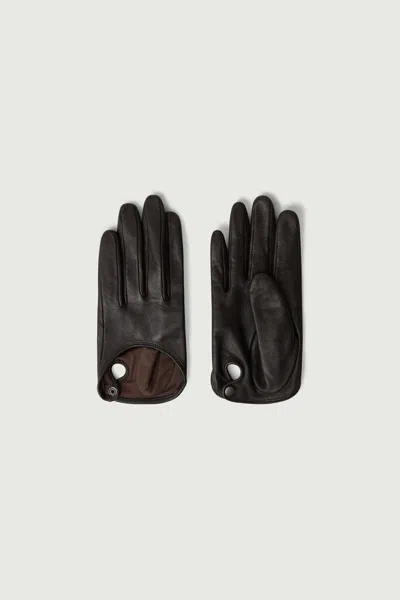 Soeur Bellem Accessories In Mar03 Marron Fonce