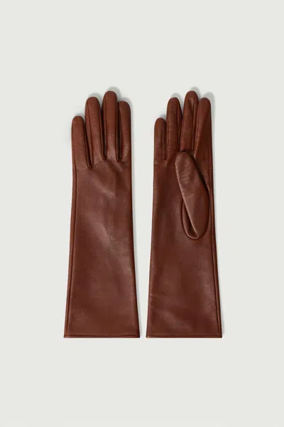 Soeur Belleville Accessories