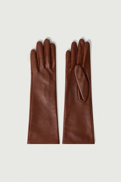 Soeur Belleville Accessories In Rou02 Brique