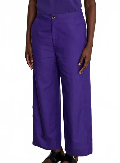 Soeur Dario Pant In Violet In Blue