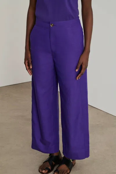 Soeur Dario Pants In Violet In Purple