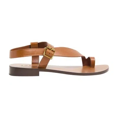 Soeur Delhi Sandals In Brown