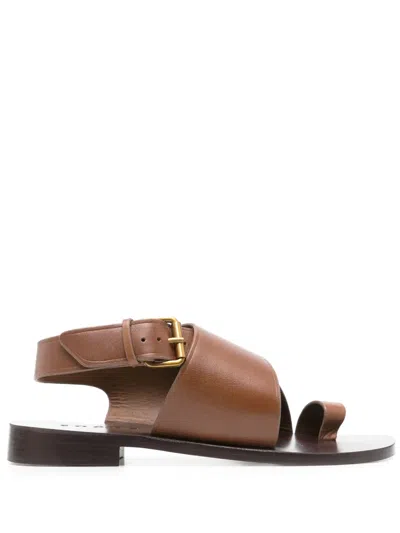 Soeur Earth Sandals In 褐色