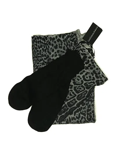 Sofia Cashmere Cashmere Scarf In Black