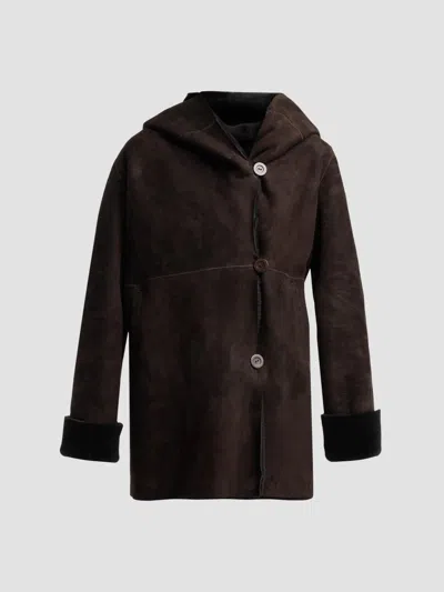 Sofia Cashmere Women's Shearling Hooded Coat In Brown
