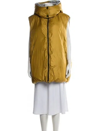 Pre-owned Sofie D'hoore Down Coat In Yellow