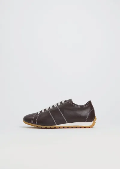 Sofie D'hoore Flint Leather Sneaker In Brown