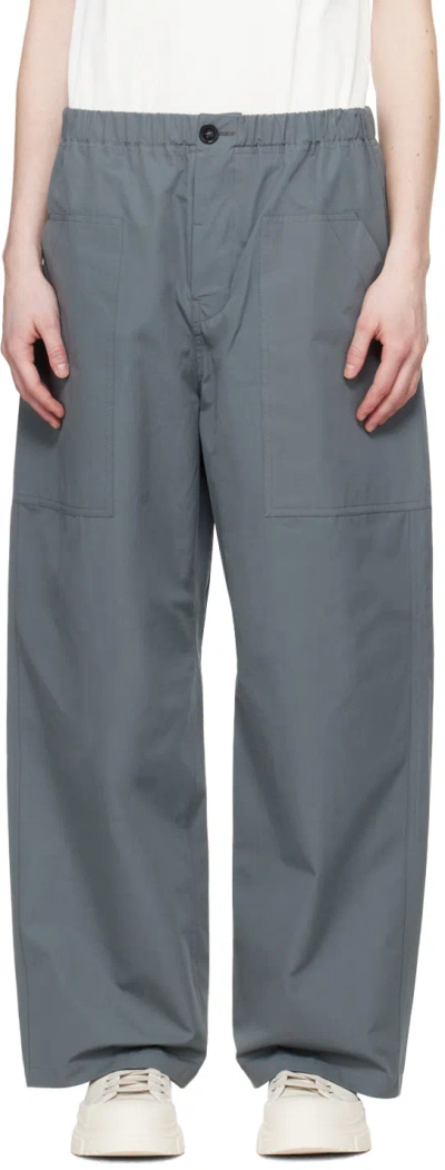 Sofie D'hoore Gray Power Wide Trousers In Metal