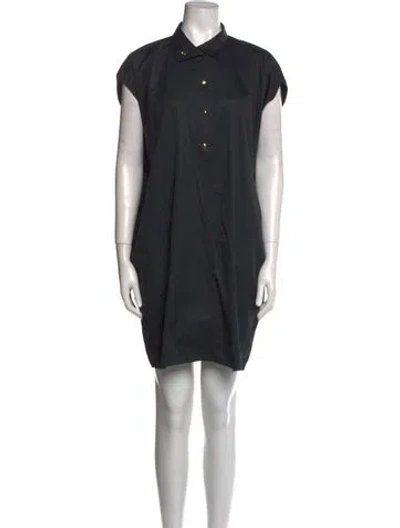 Pre-owned Sofie D'hoore Knee-length Dress In Black