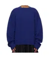 Sofie D'hoore Long Sleeve Sweater In Blue