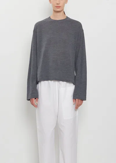 Sofie D'hoore Mateo Ultrafine Merino L/s T-shirt In Gray
