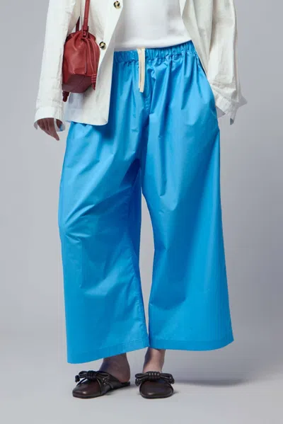 Sofie D'hoore Parana Wide Pants In Blue