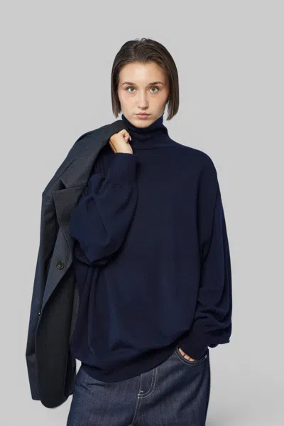 Sofie D'hoore Pullover Long Sleeves High Neck In Blue