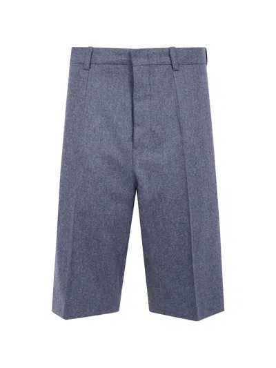 Sofie D'hoore Wool Front-pleat Shorts In Blue