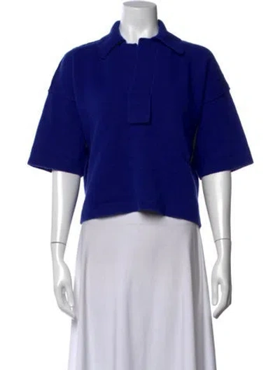 Pre-owned Sofie D'hoore Wool Sweater In Blue