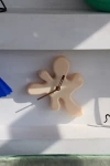 Sofiest Designs Splat Clock Kit In Peach At Urban Outfitters
