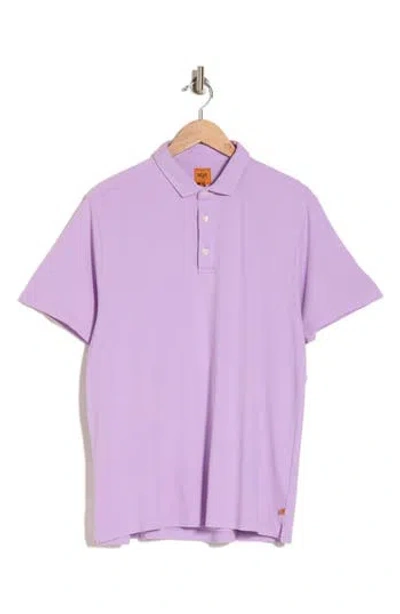 Soft Cloth Daydreamer Garment Dyed Polo In Orchid