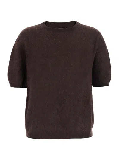 Soft Goat Brushed Cashmere Turtleneck Short-sleeve Sweater In Brown