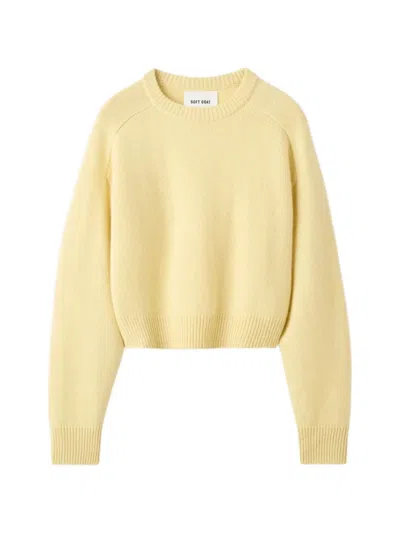 Soft Goat Cashmere Raglan-sleeve Knitwear In Yellow