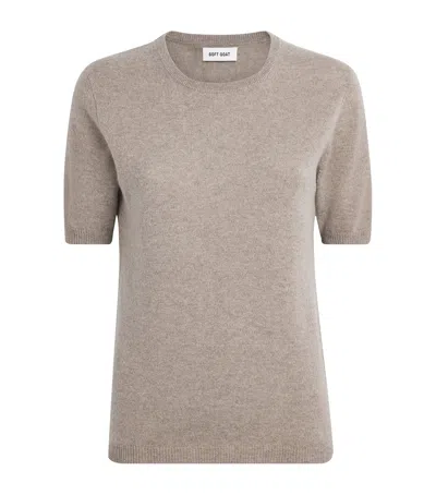 Soft Goat Cashmere Short-sleeve Sweater In Brown