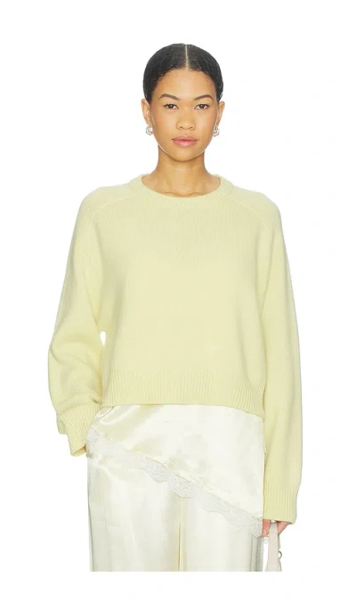 Soft Goat Cashmere Top In Green