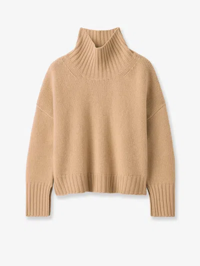 Soft Goat Girlfriend Cashmere Turtleneck In Brown