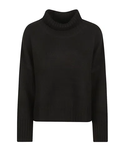 Soft Goat Ribbed Turtleneck Knitwear In Black
