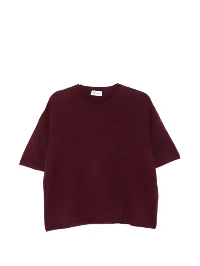 Soft Goat Short-sleeve Cashmere T-shirt In Brown