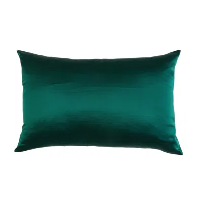 Soft Strokes Silk Luxury Pure Mulberry Silk Pillowcase In Green