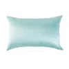 Soft Strokes Silk Luxury Pure Mulberry Silk Pillowcase In Green