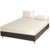 Soft Strokes Silk White Pure Mulberry Silk Seamless Fitted Sheet - Queen - Ivory In White