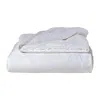 Soft Strokes Silk White Pure Silk Filled Duvet Long Strand Mulberry Silk Floss Fill - Queen Size, One Kg, Cotton Shell In White