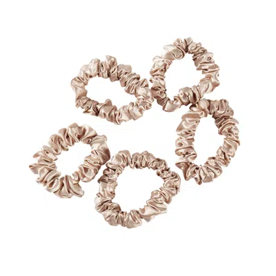 Soft Strokes Silk Women's Neutrals Pure Mulberry Silk Mini Scrunchie Set Of Five In Beige In Beige/purple
