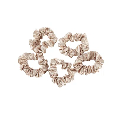 Soft Strokes Silk Women's Neutrals Pure Mulberry Silk Regular Scrunchie Set Of Five In Beige In Beige/purple