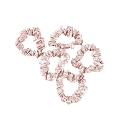 Soft Strokes Silk Women's Pink / Purple Pure Mulberry Silk Mini Scrunchie Set Of Five In Baby Pink In Pink/purple