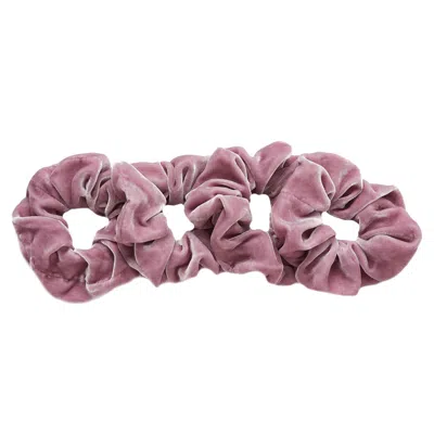 Soft Strokes Silk Women's Pink / Purple Silk Velvet Handmade French Scrunchie Set Of Four - Lipstick Collection In Orc In Pink/purple