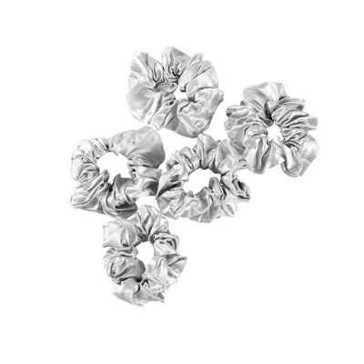 Soft Strokes Silk Women's Pure Mulberry Silk French Scrunchie Set Of Five In Silver Grey