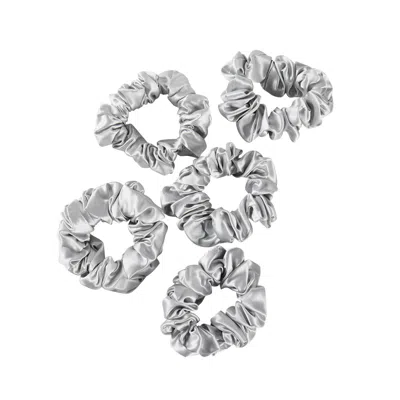 Soft Strokes Silk Women's Pure Mulberry Silk Regular Scrunchie Set Of Five In Silver Grey
