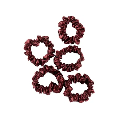 Soft Strokes Silk Women's Red Pure Mulberry Silk Mini Scrunchie Set Of Five In Burgundy