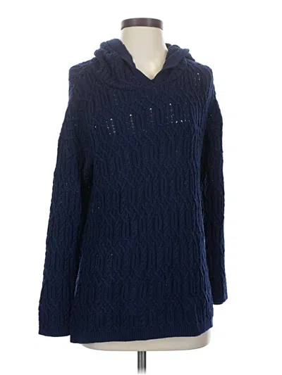 Pre-owned Soft Surroundings Pullover Sweater In Blue