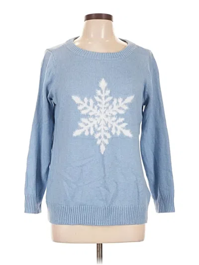 Pre-owned Soft Surroundings Pullover Sweater In Blue