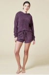 Softies Solid Marshmallow Hoodie Short Set In Fig
