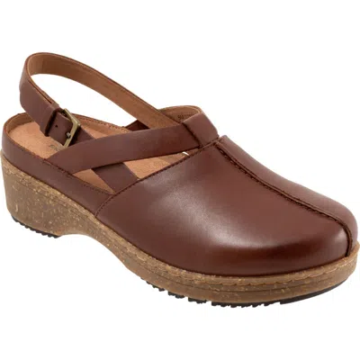 Softwalk ® Arica Slingback Clog In Brown