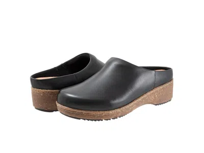 Softwalk Arvada Women's Flat Shoes Black: 8.5 Ww (ee), Leather
