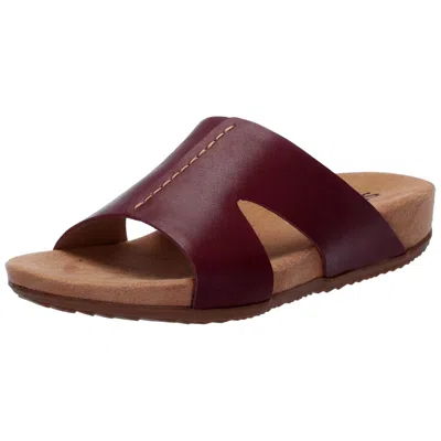 Softwalk Beverly Mahogany S2304668 Women's In Burgundy
