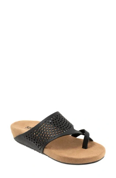 Softwalk Blaine Perf 2.0 In Black