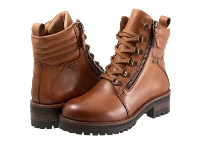 Softwalk Everett In Brown