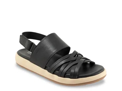 Softwalk Jewell Sandal In Black